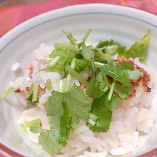 土鍋ＤＥおいしい★しょうがご飯【しょうが多め】